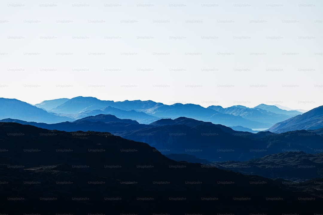 新春走底层｜山东：土特产热销“黄河大集” 新年消费涌动新生机